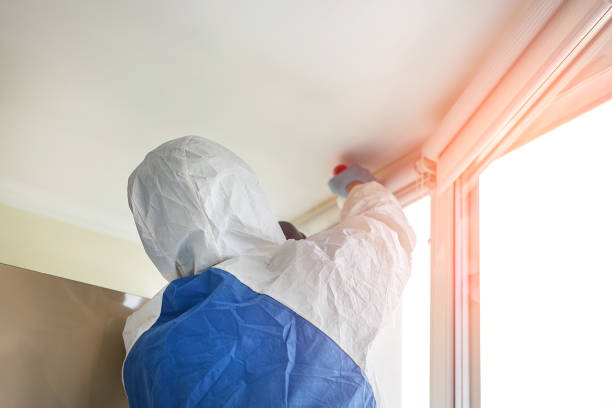 Best Attic Mold Removal  in Princevle, IL