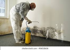 Best Mold Removal for HVAC Installations  in Princevle, IL